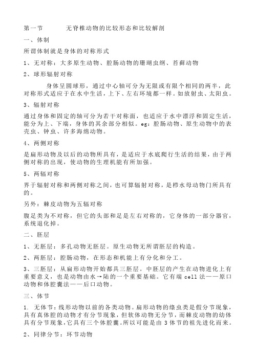 无脊椎比较