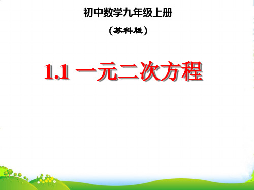 苏教版九年级数学上册《一元二次方程》课件(共19张PPT)