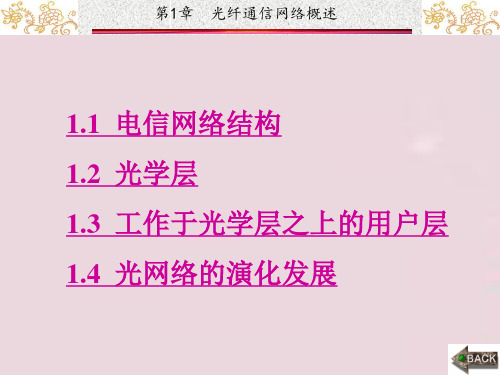光网络实用组网技术章 (1)