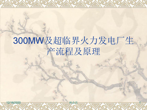 300MW及超临界火力发电厂生产流程及原理