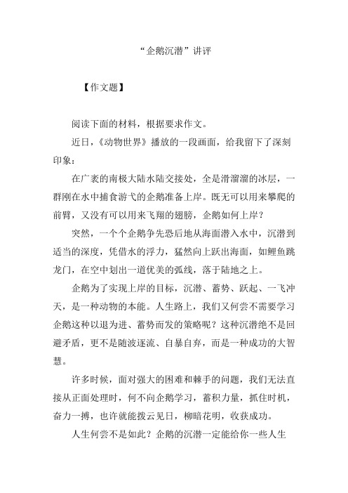 “企鹅沉潜”讲评