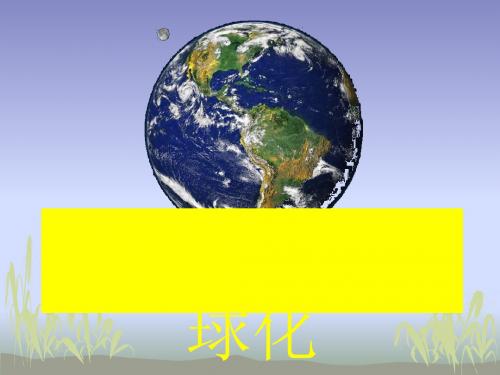 世界经济的全球化(优秀版)