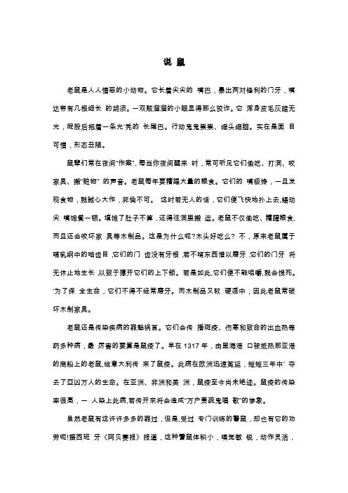 说 鼠_初三说明文