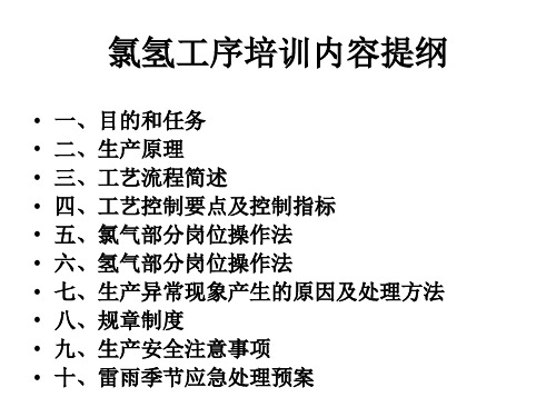 3氯碱新员工培训资料之氯氢工序