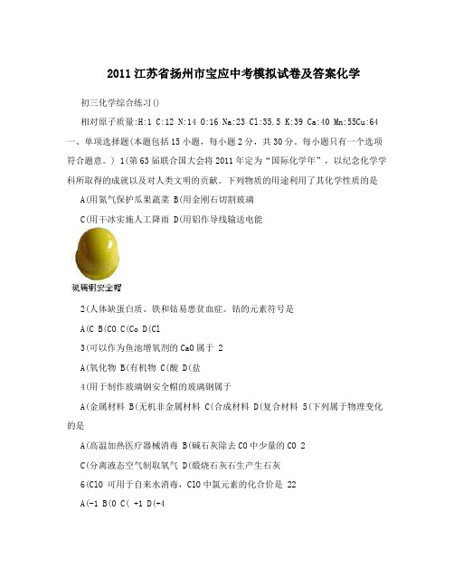 最新江苏省扬州市宝应中考模拟试卷及答案化学优秀名师资料