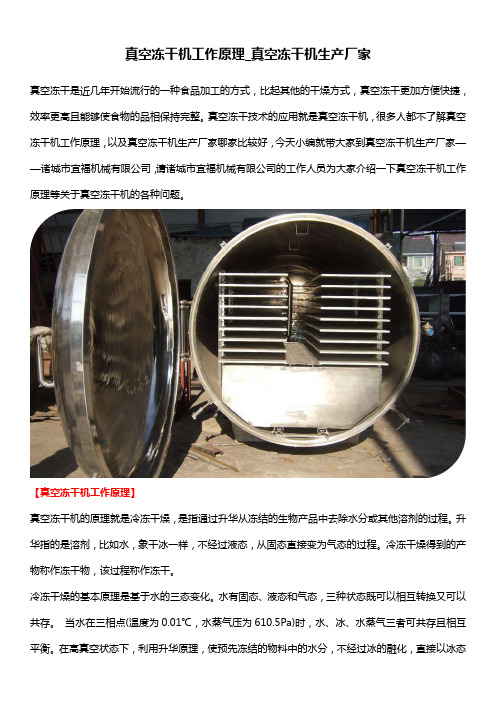 真空冻干机工作原理_真空冻干机生产厂家