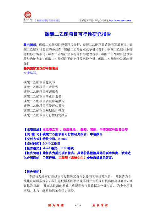 碳酸二乙酯项目可行性研究报告