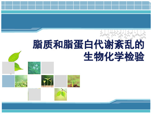 检本脂蛋白代谢紊乱-精品医学课件