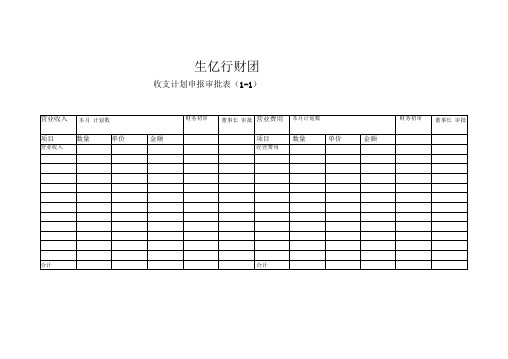 财务资金计划表