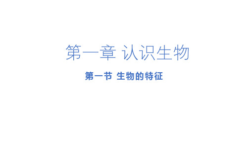 1.1.1生物的特征课件 人教版生物七年级上册