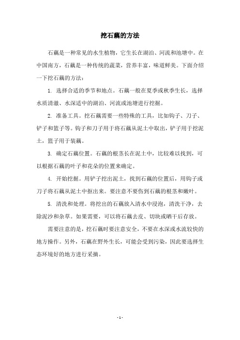 挖石藕的方法