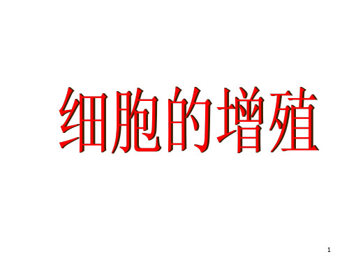 高中生物必修一-细胞分裂-课件