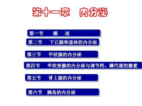 第十一章 内分泌