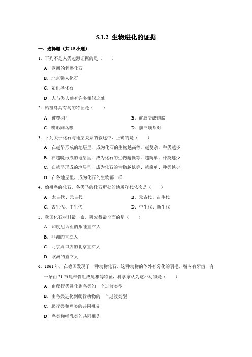 济南版生物八年级下册 生物进化的证据