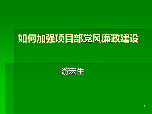 如何加强项目部党风廉政建设PPT课件