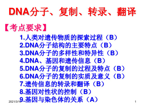 DNA分子、复制、转录、翻译