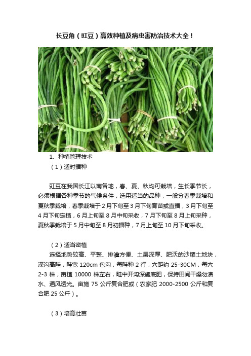 长豆角（豇豆）高效种植及病虫害防治技术大全！