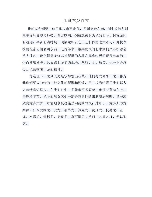 九里龙乡作文