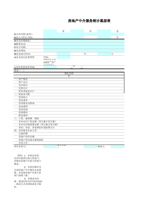 Excel实战技巧模板1000例：房地产中介服务统计基层表