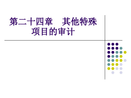 其他特殊项目的审计(PPT33页)