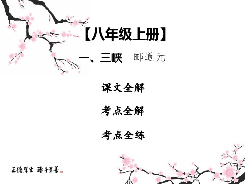 中考课内文言文专题复习语文课件：三峡