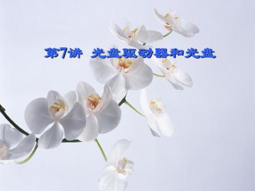 光盘驱动器和光盘
