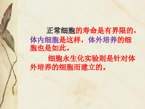 细胞永生化实验