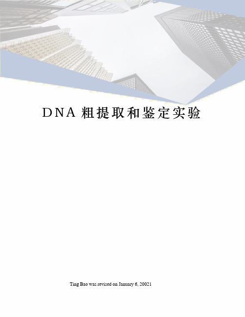 DNA粗提取和鉴定实验