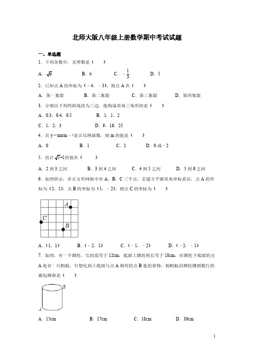 北师大版八年级上册数学期中考试试卷含答案