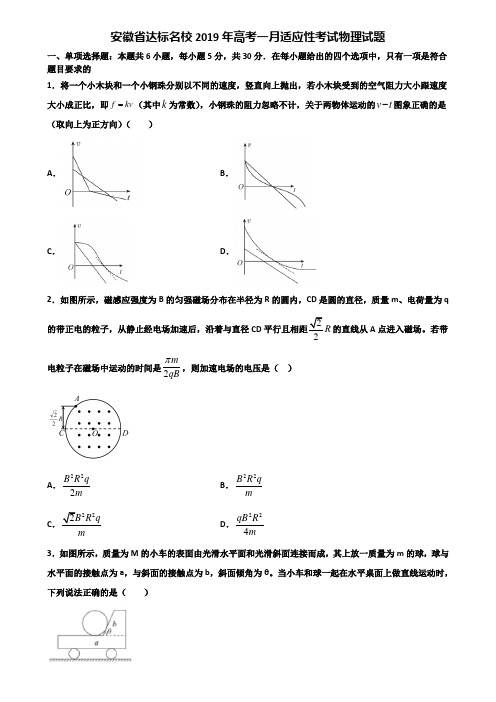 安徽省达标名校2019年高考一月适应性考试物理试题含解析
