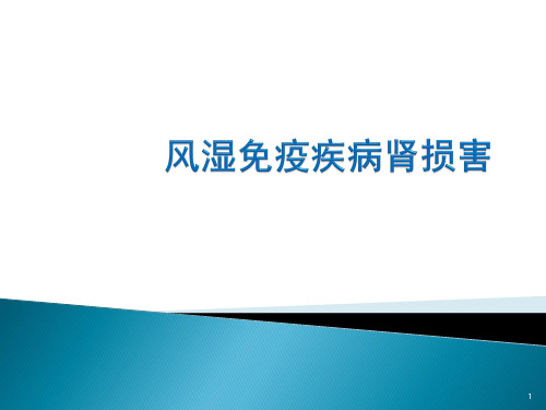 风湿免疫疾病肾损害PPT课件
