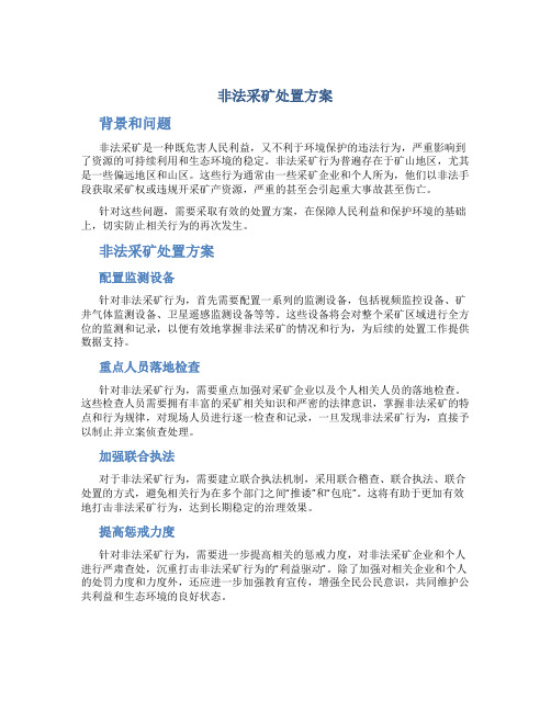 非法采矿处置方案