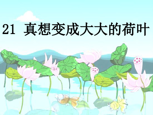 21真想变成大大的荷叶 优质课件