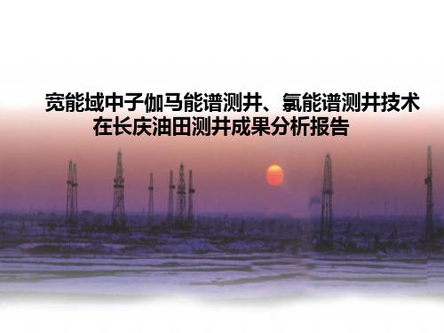 宽能域中子伽马能谱测井、氯能谱测井技术在长庆油田测井成果分析报告