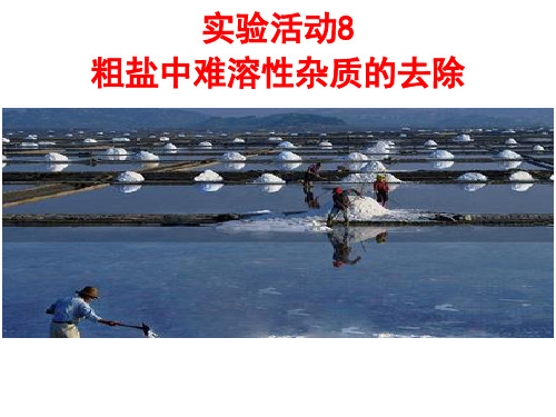 人教九年级化学下册第十一单元实验活动8 粗盐中难溶性杂质的去除(共16张PPT)