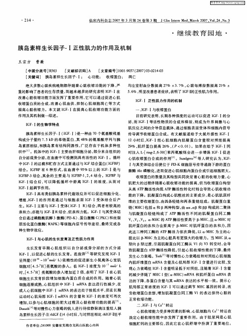胰岛素样生长因子-Ⅰ正性肌力的作用及机制