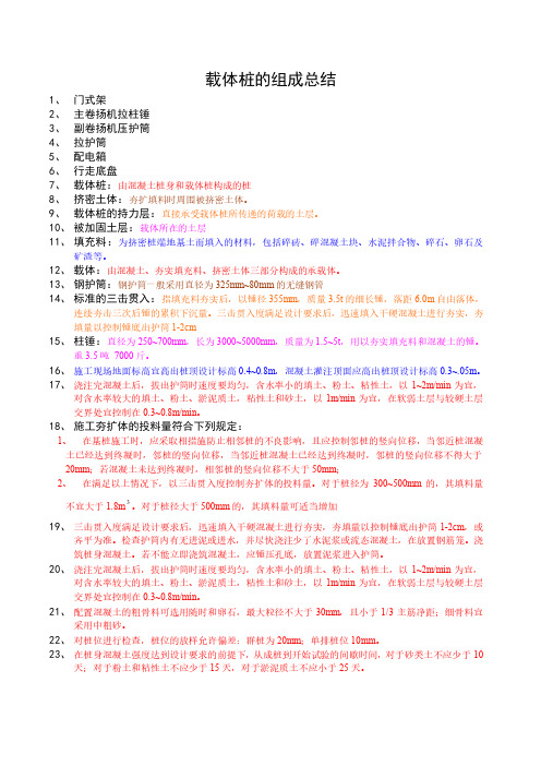 载体桩施工及验收规程