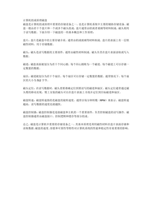 计算机组成原理磁盘