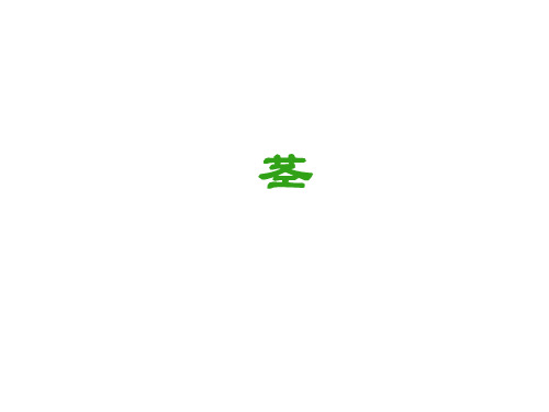 高中生物竞赛——植物学——茎