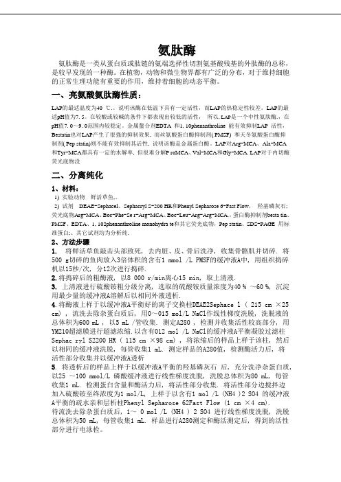 氨肽酶