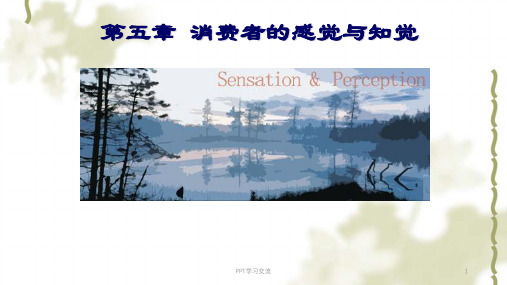 消费者的感觉与知觉课件