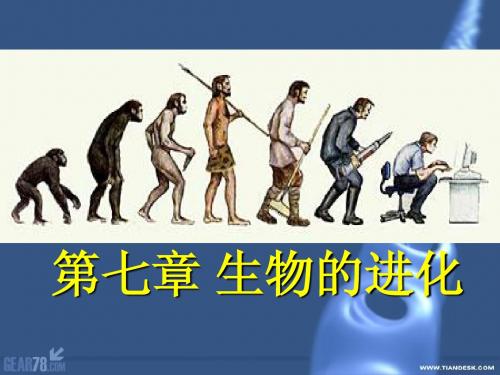 必修二遗传与进化第7章 生物的进化