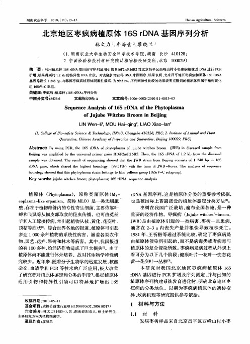 北京地区枣疯病植原体16S rDNA基因序列分析