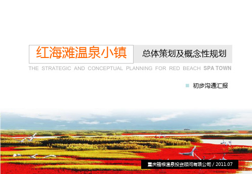 某温泉小镇总体策划及概念性规划方案
