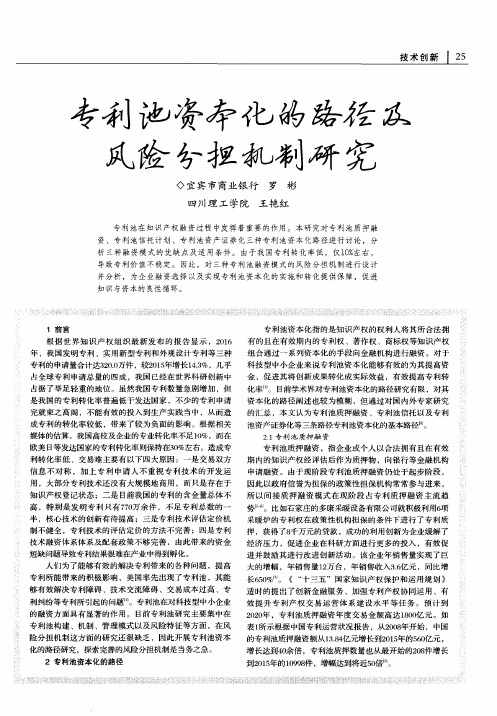 专利池资本化的路径及风险分担机制研究