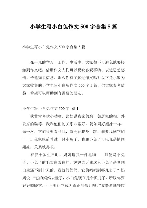 小学生写小白兔作文500字合集5篇