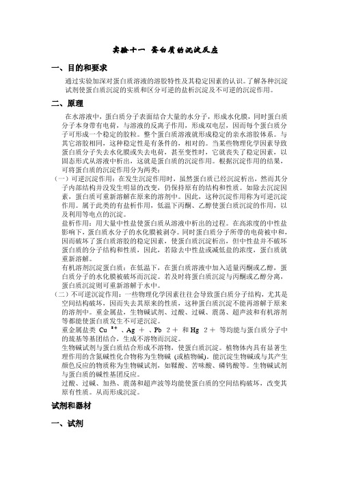 蛋白质的沉淀反应