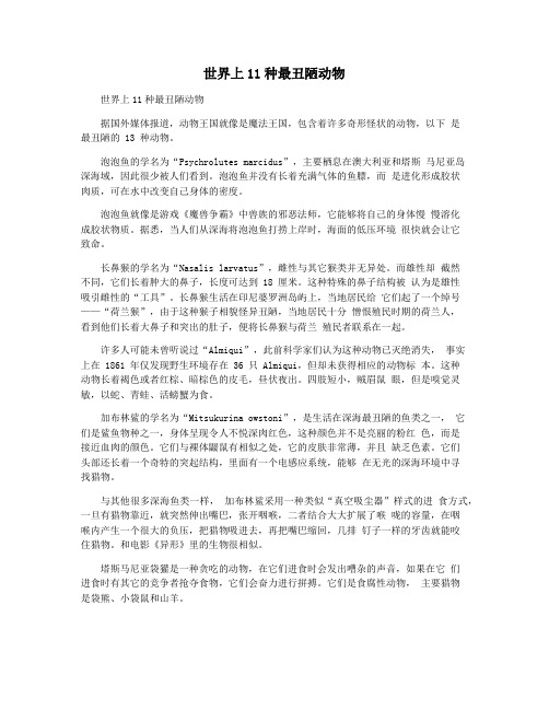 世界上11种最丑陋动物