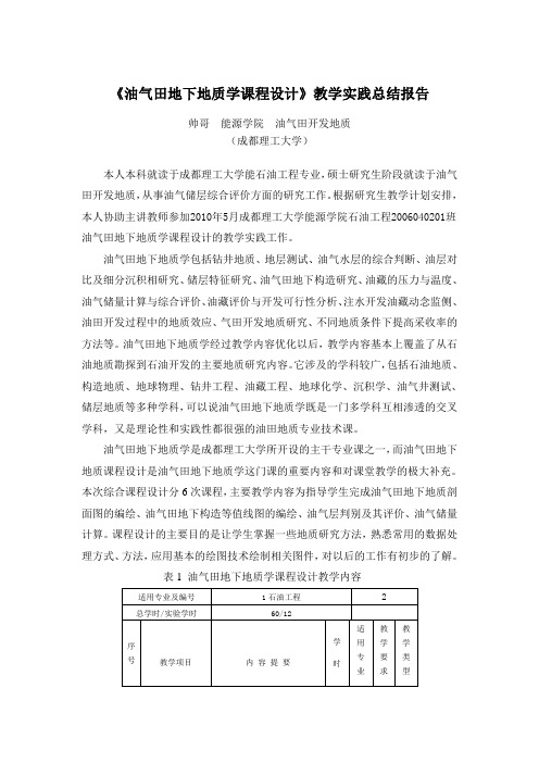 教学实践总结报告(成都理工 石油 能源)