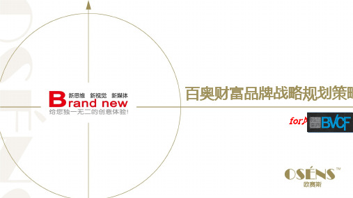 欧赛斯品牌战略规划方案案例样本模板